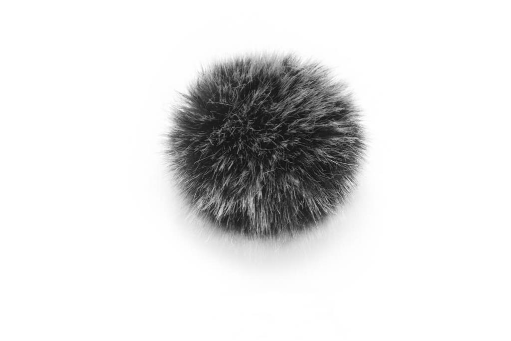 Windscreen for Wireless Mic