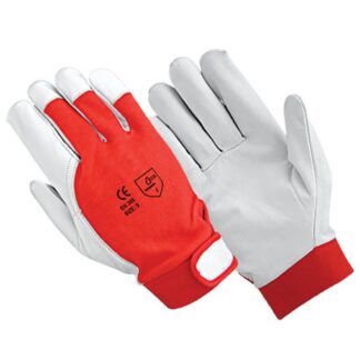 [7170] Pair of gloves